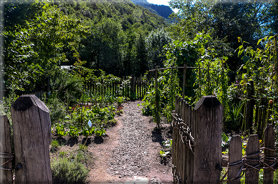 foto Giardini Trauttmansdorff - Paesaggi dell'Alto Adige